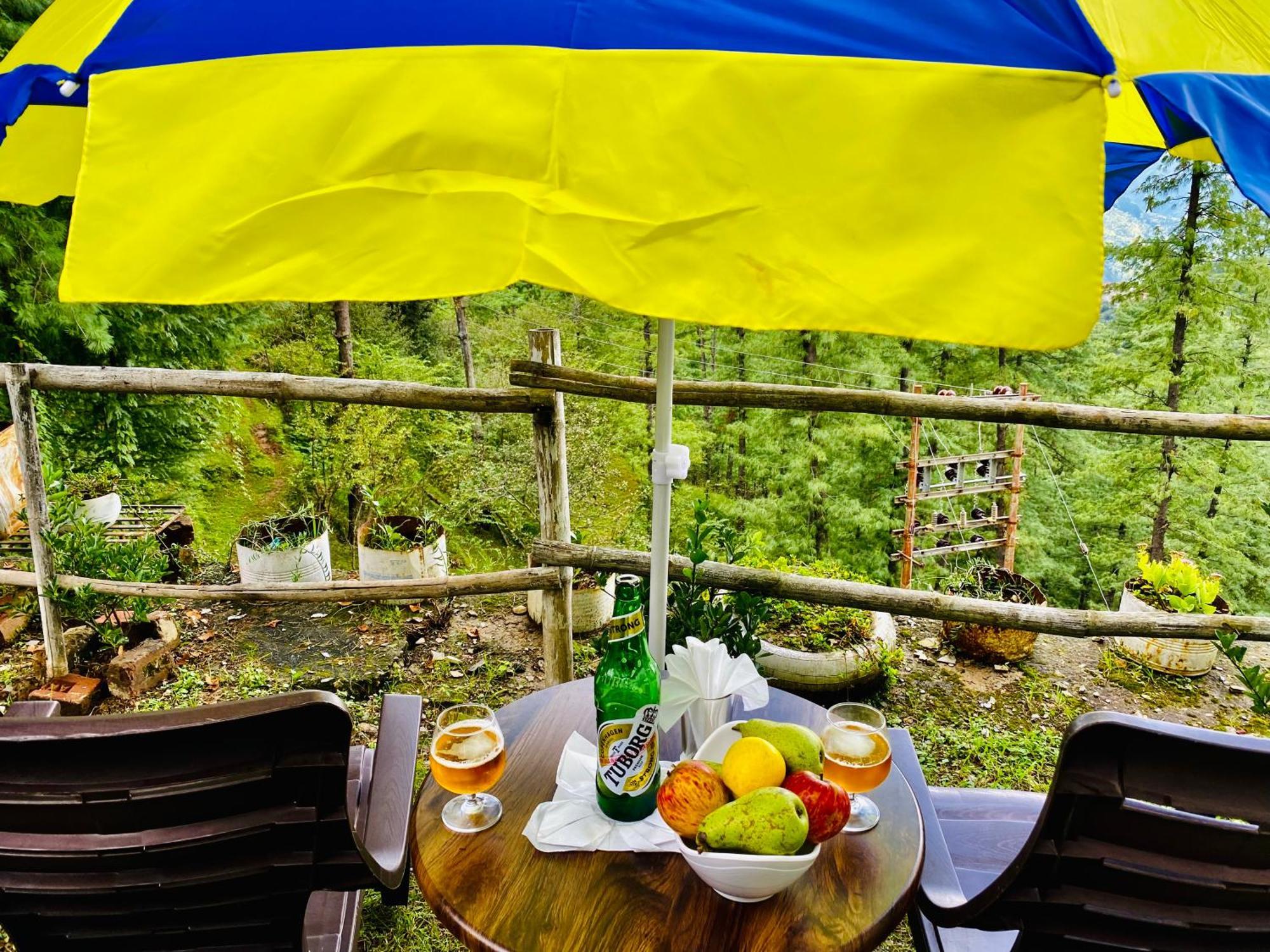 Royal Green Mashobra - Mountain And Valley View Rooms شيملا المظهر الخارجي الصورة